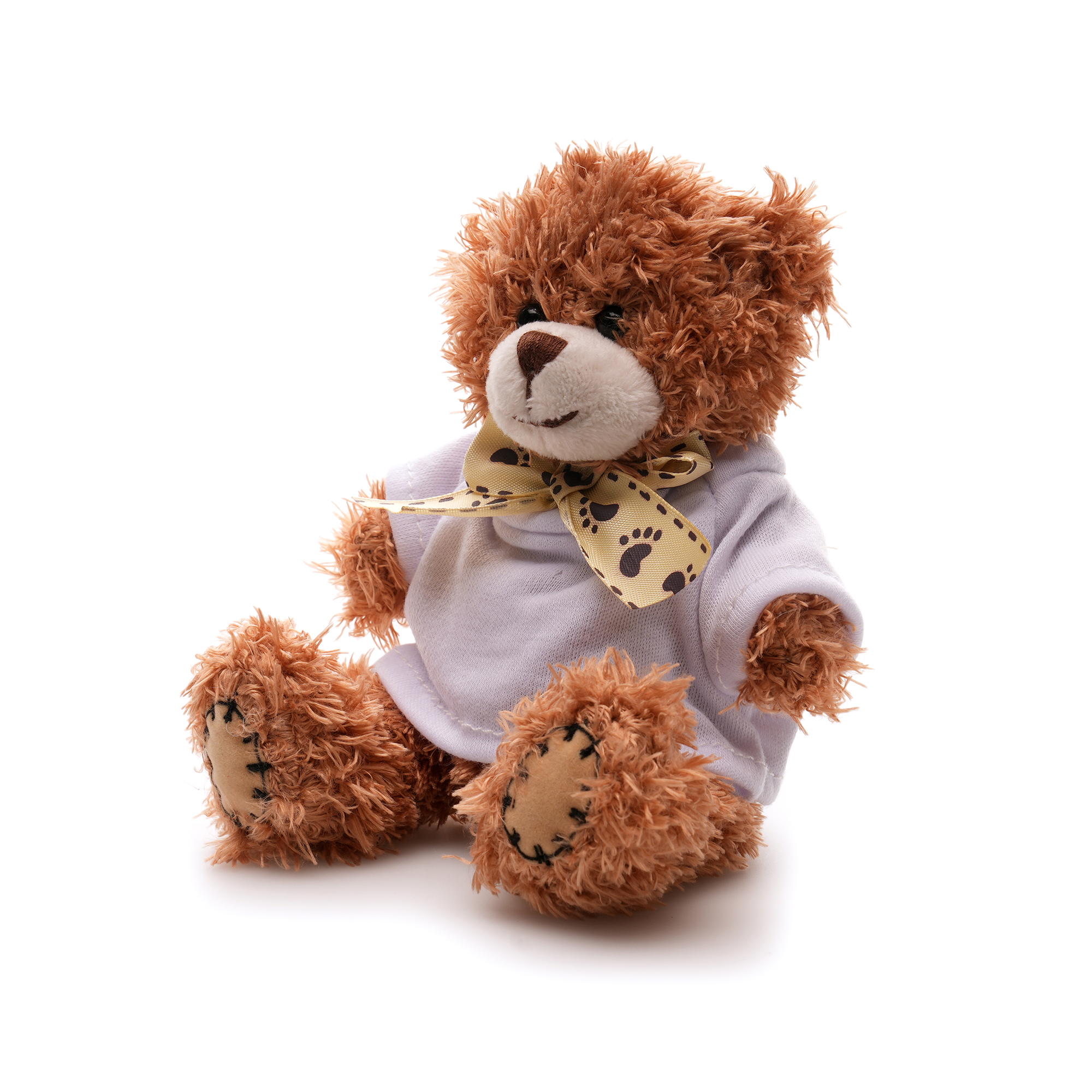 Picture of Small Patched Paw Teddy