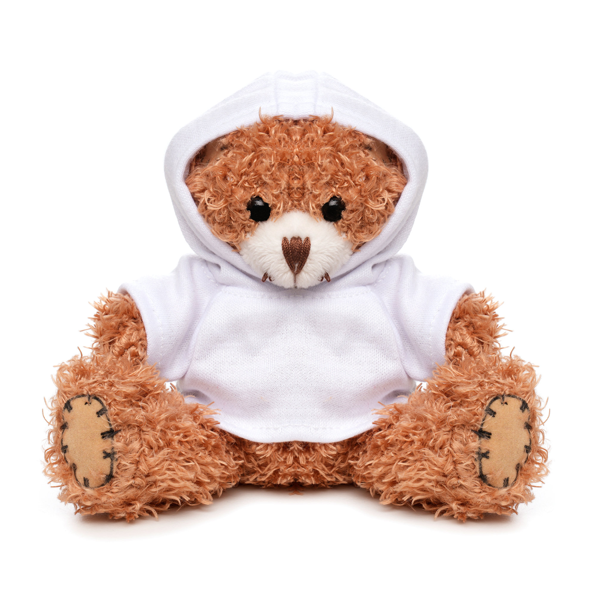 Picture of Small Patched Paw Teddy