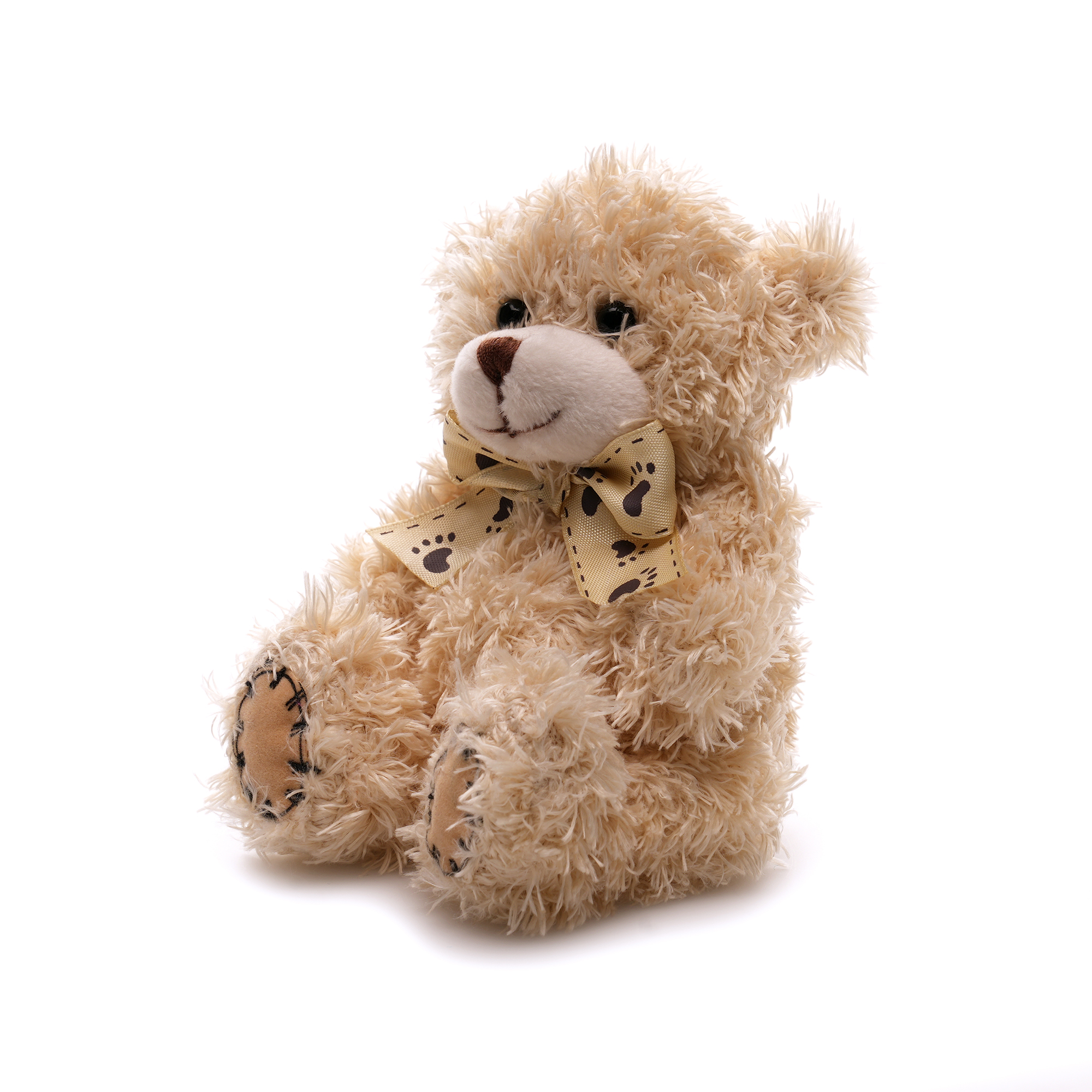 Picture of Small Patched Paw Teddy