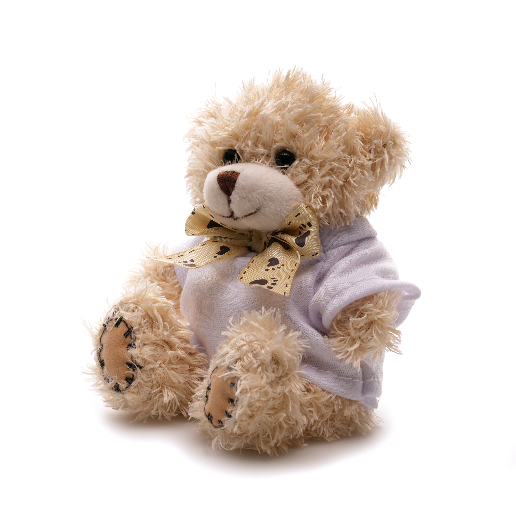 Picture of Small Patched Paw Teddy