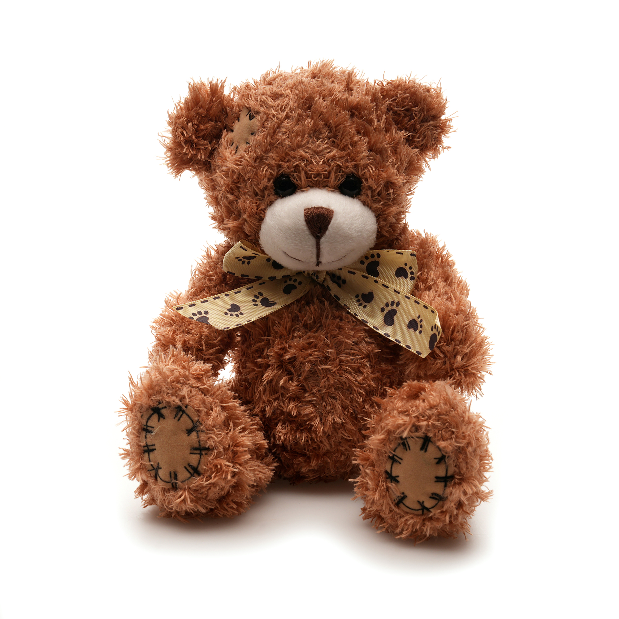 Picture of Medium Patched Paw Teddy