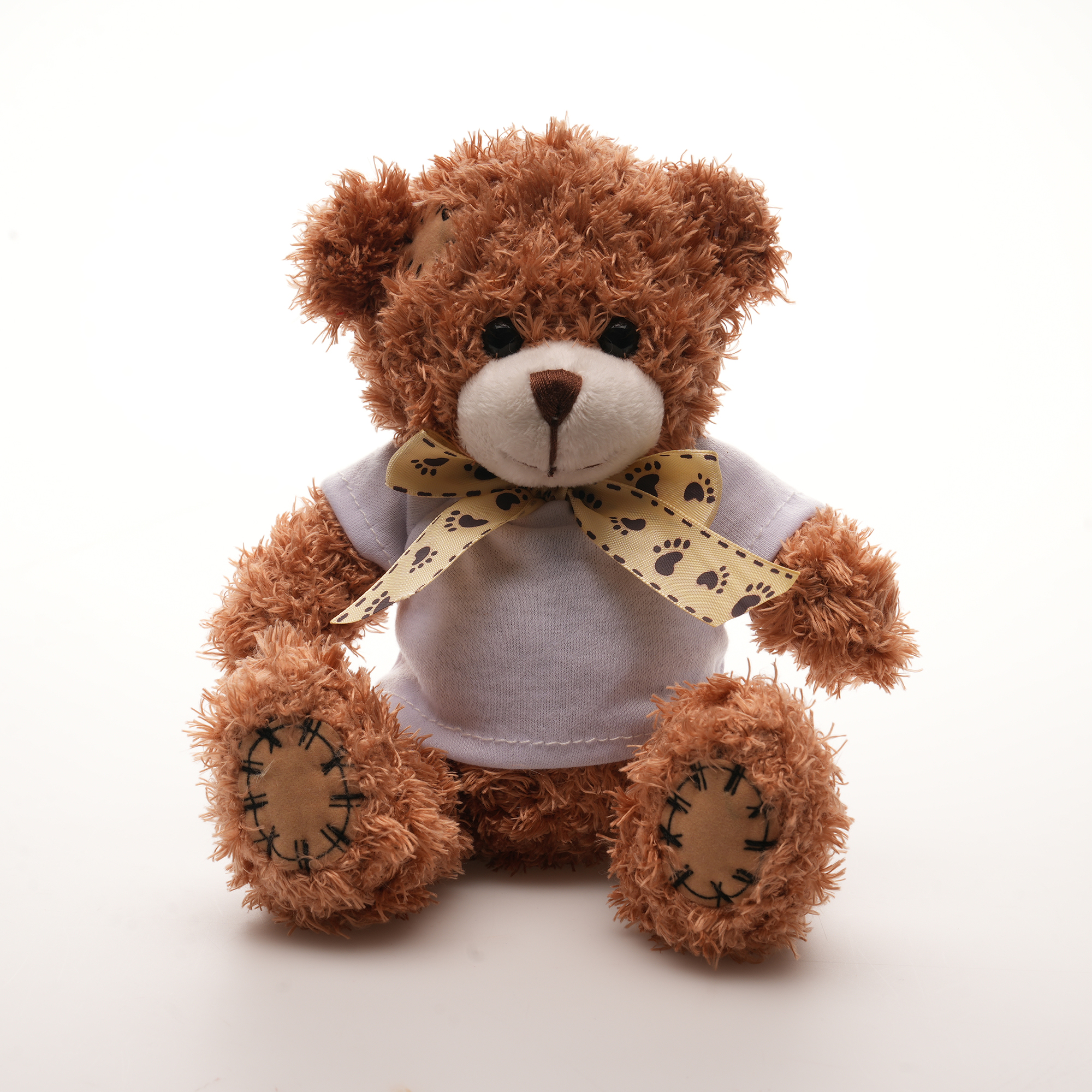Picture of Medium Patched Paw Teddy