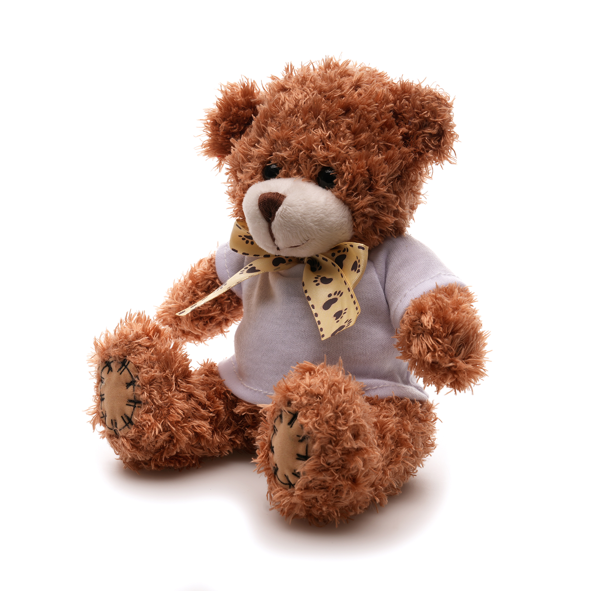 Picture of Medium Patched Paw Teddy