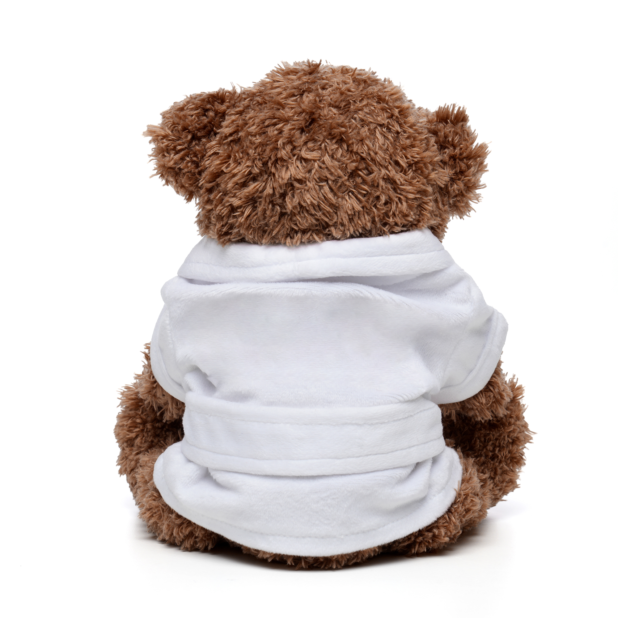 Picture of Medium Paw Teddy