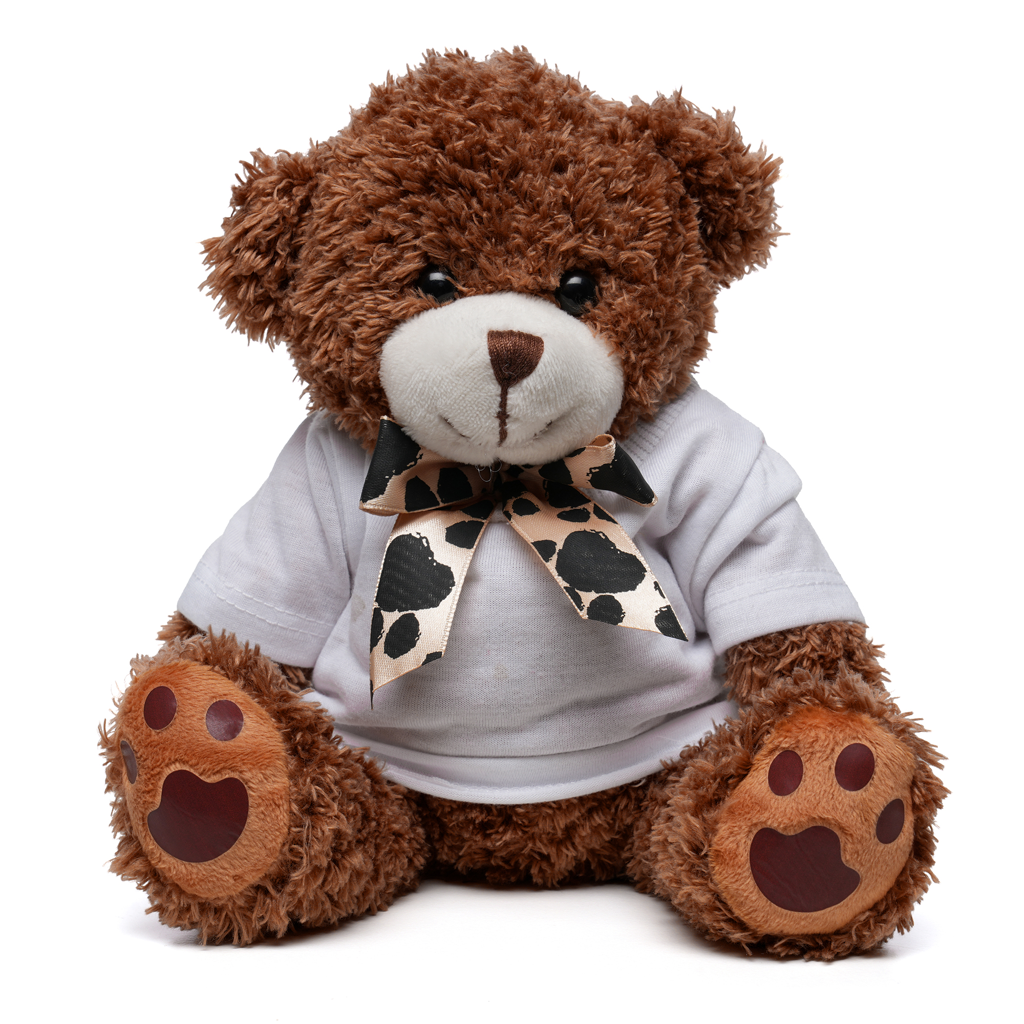 Picture of Medium Paw Teddy