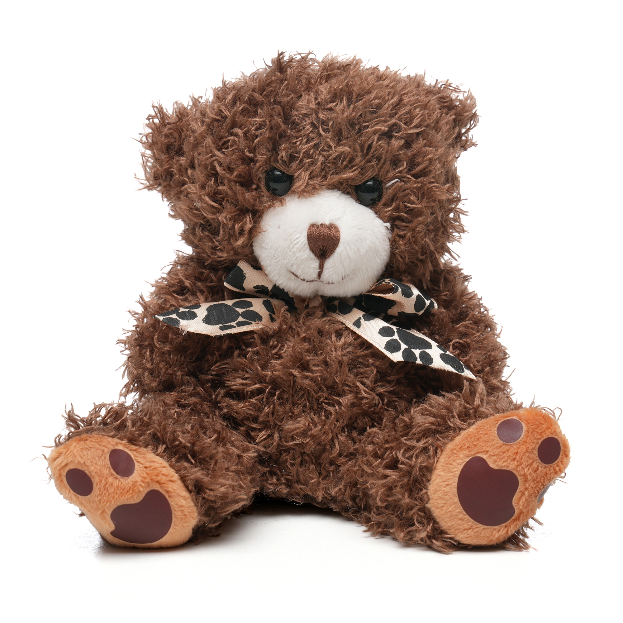 Picture of Medium Paw Teddy
