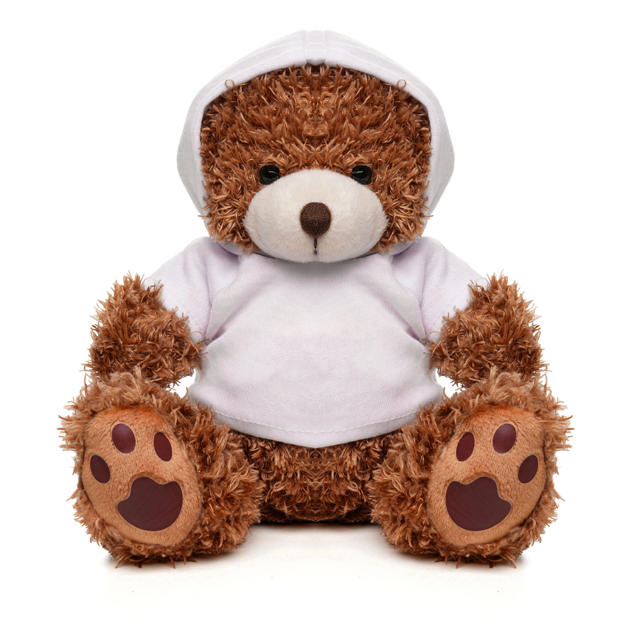 Picture of Medium Paw Teddy