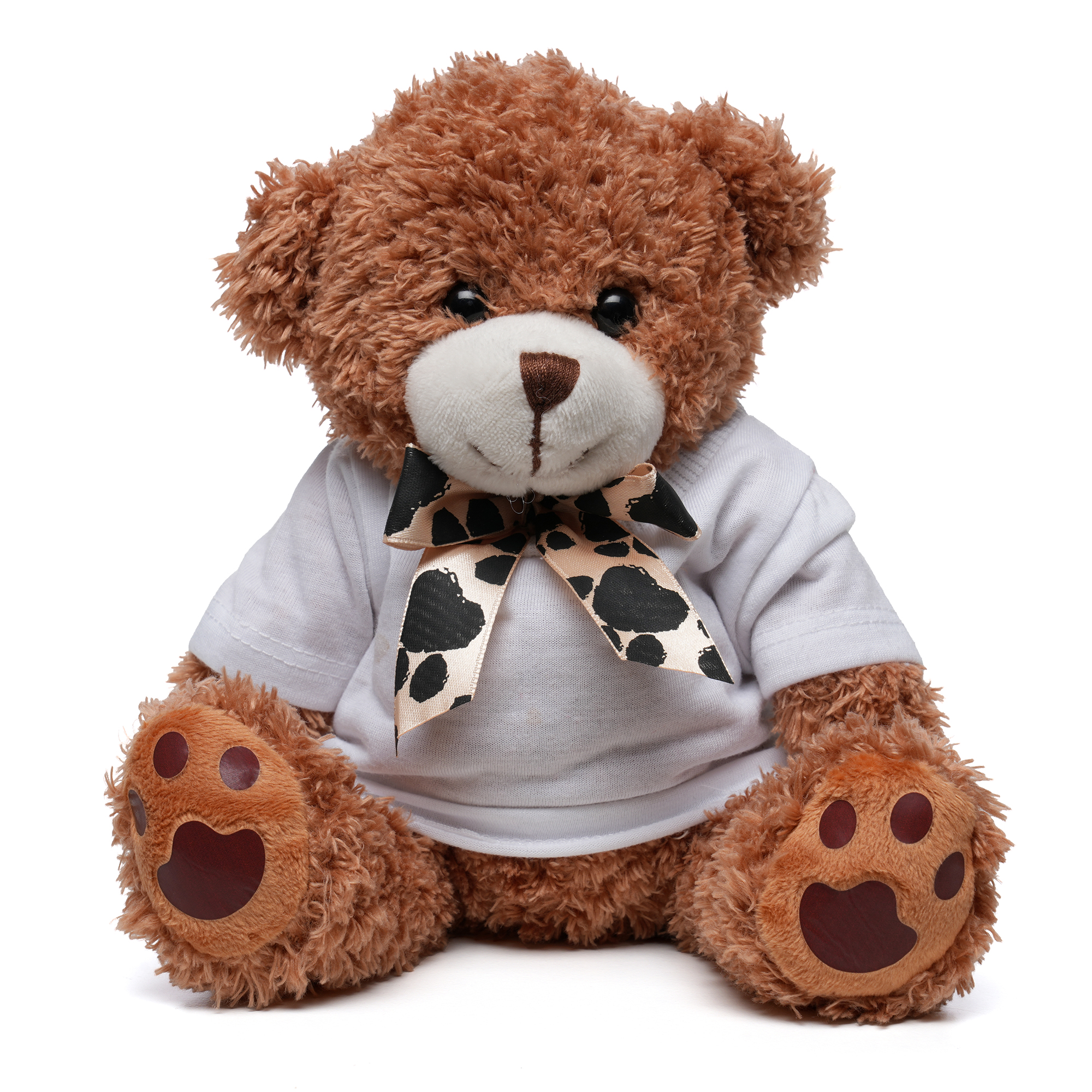 Picture of Medium Paw Teddy