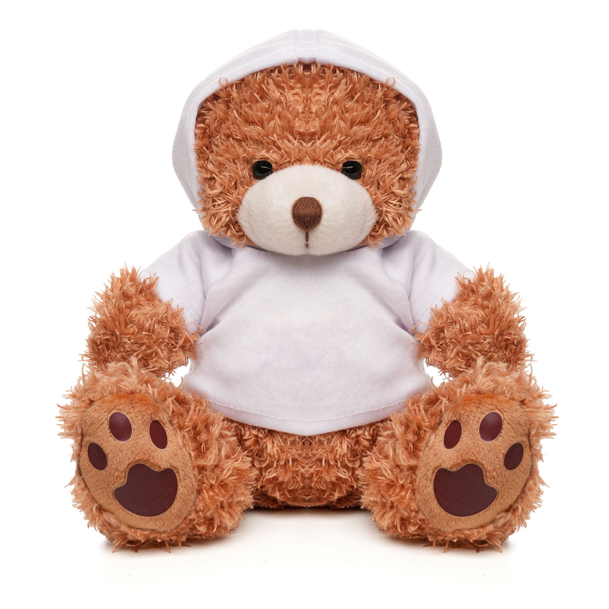 Picture of Medium Paw Teddy