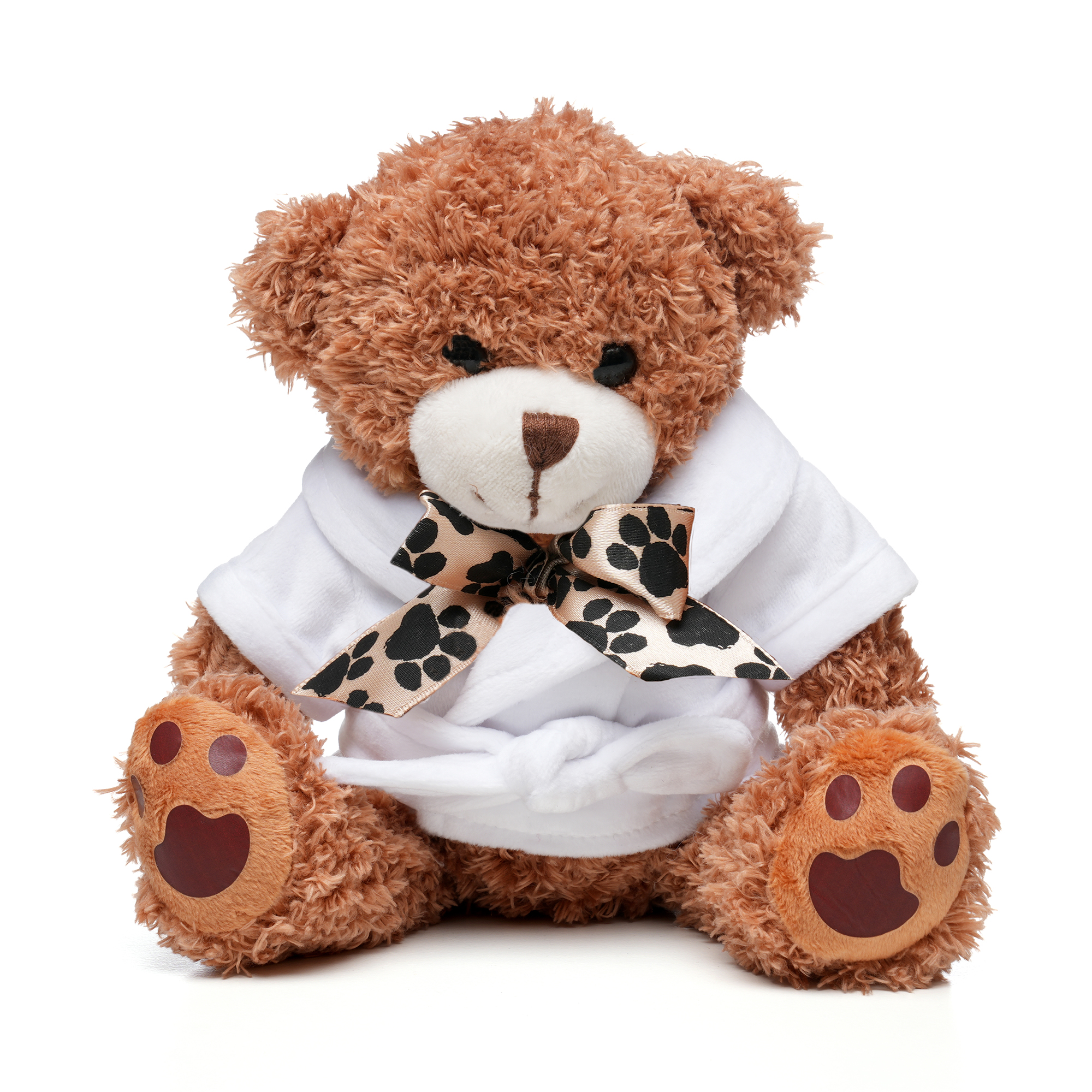 Picture of Medium Paw Teddy
