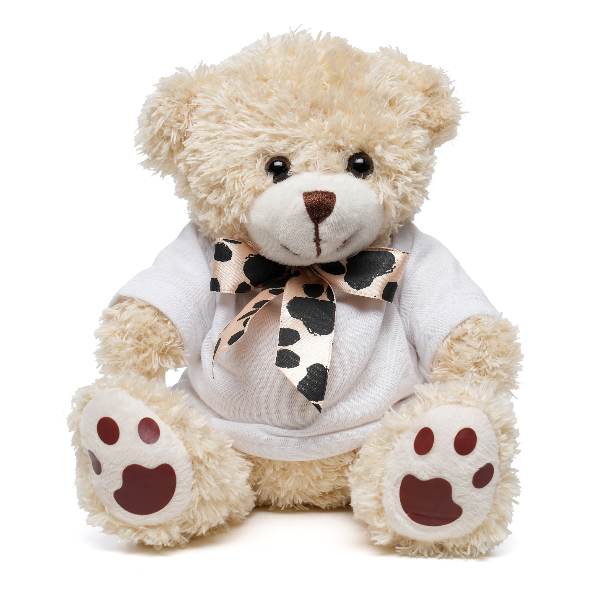 Picture of Medium Paw Teddy