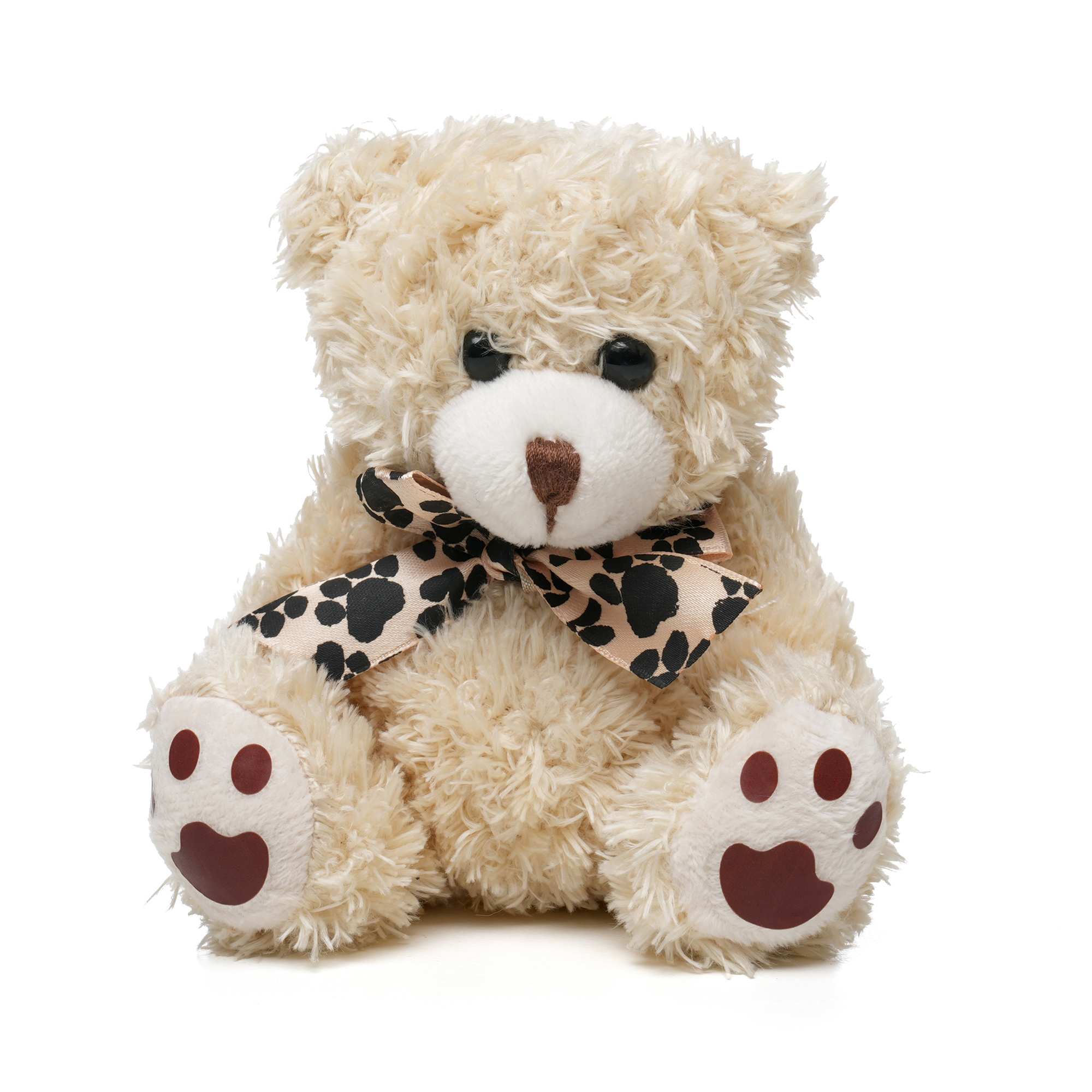 Picture of Medium Paw Teddy