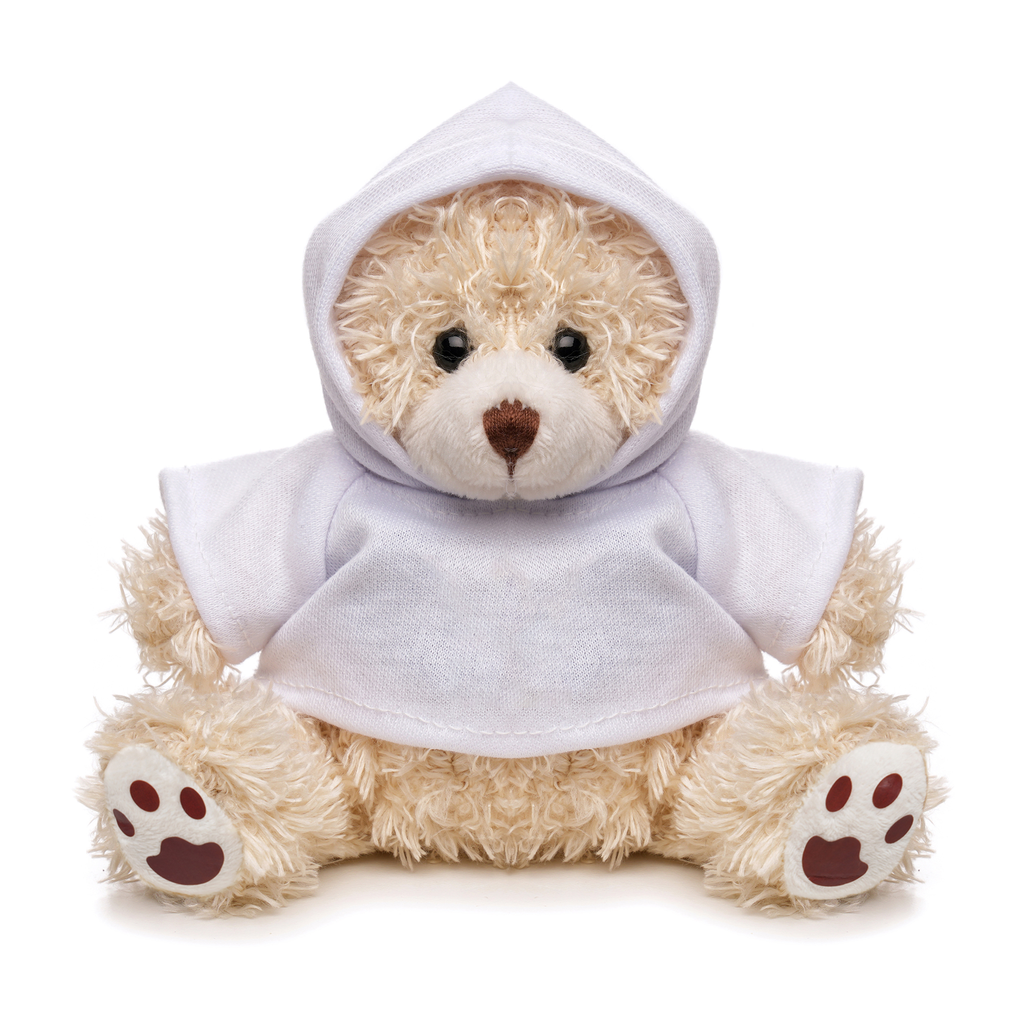 Picture of Medium Paw Teddy