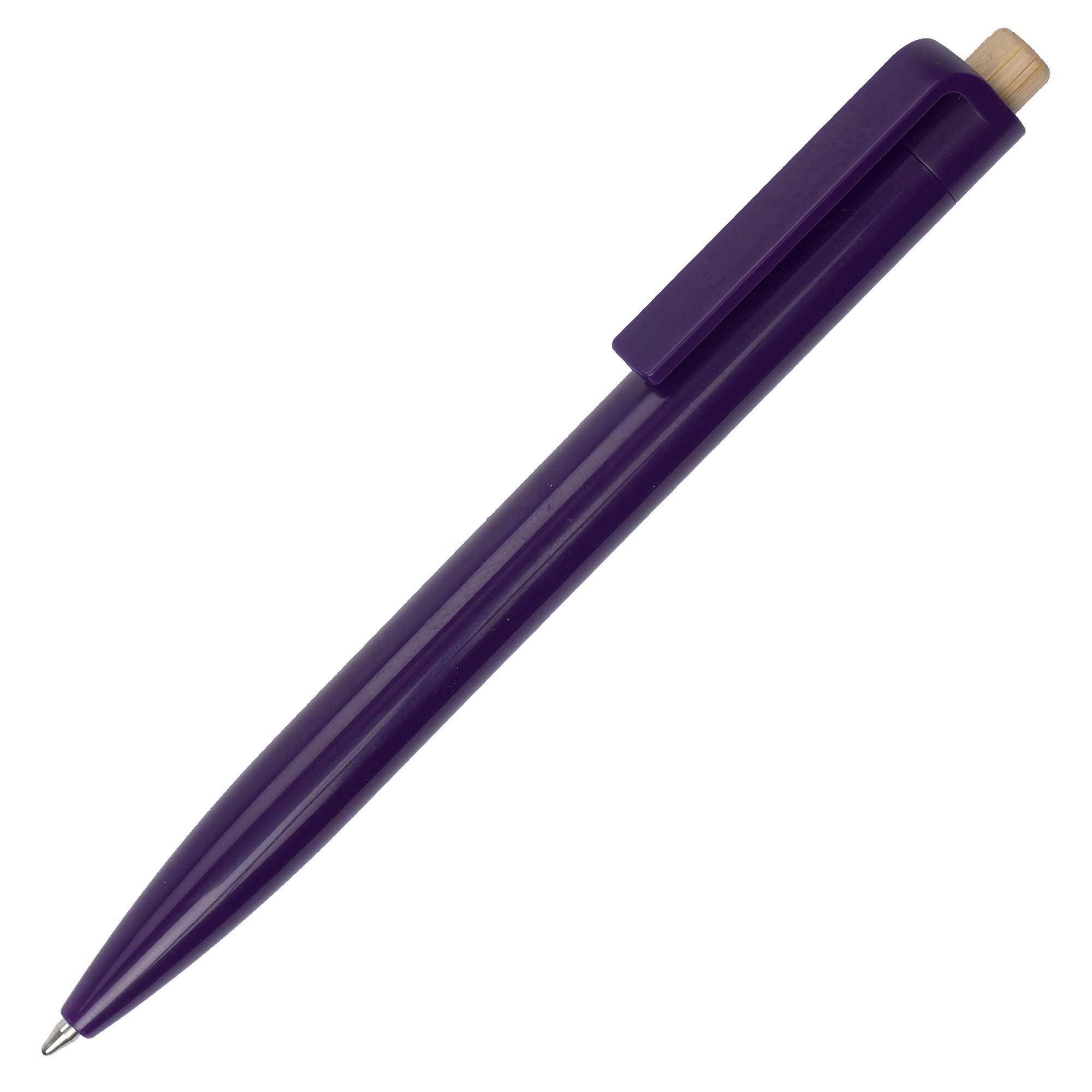 Picture of Glossy Recycled Ball Pen