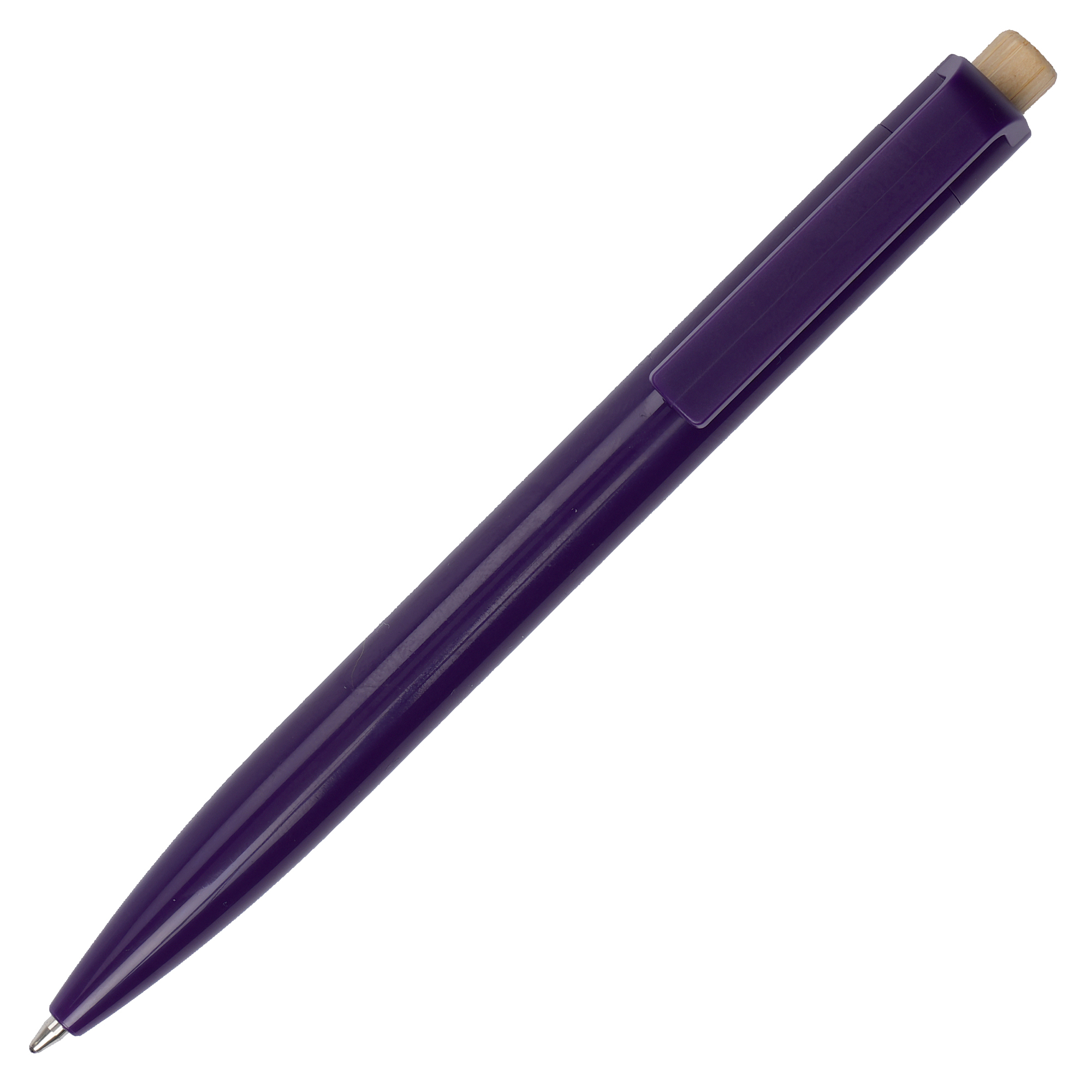 Picture of Glossy Recycled Ball Pen