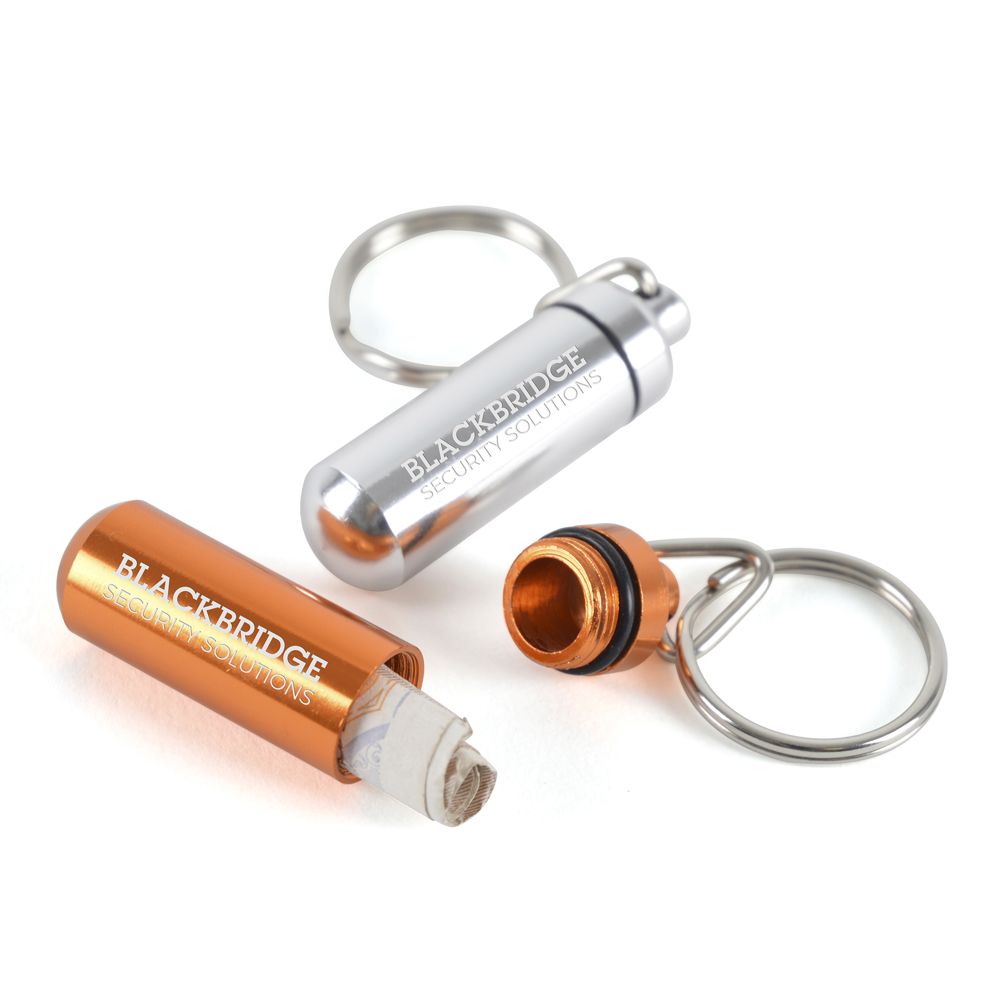 Picture of Money Minder Keyring