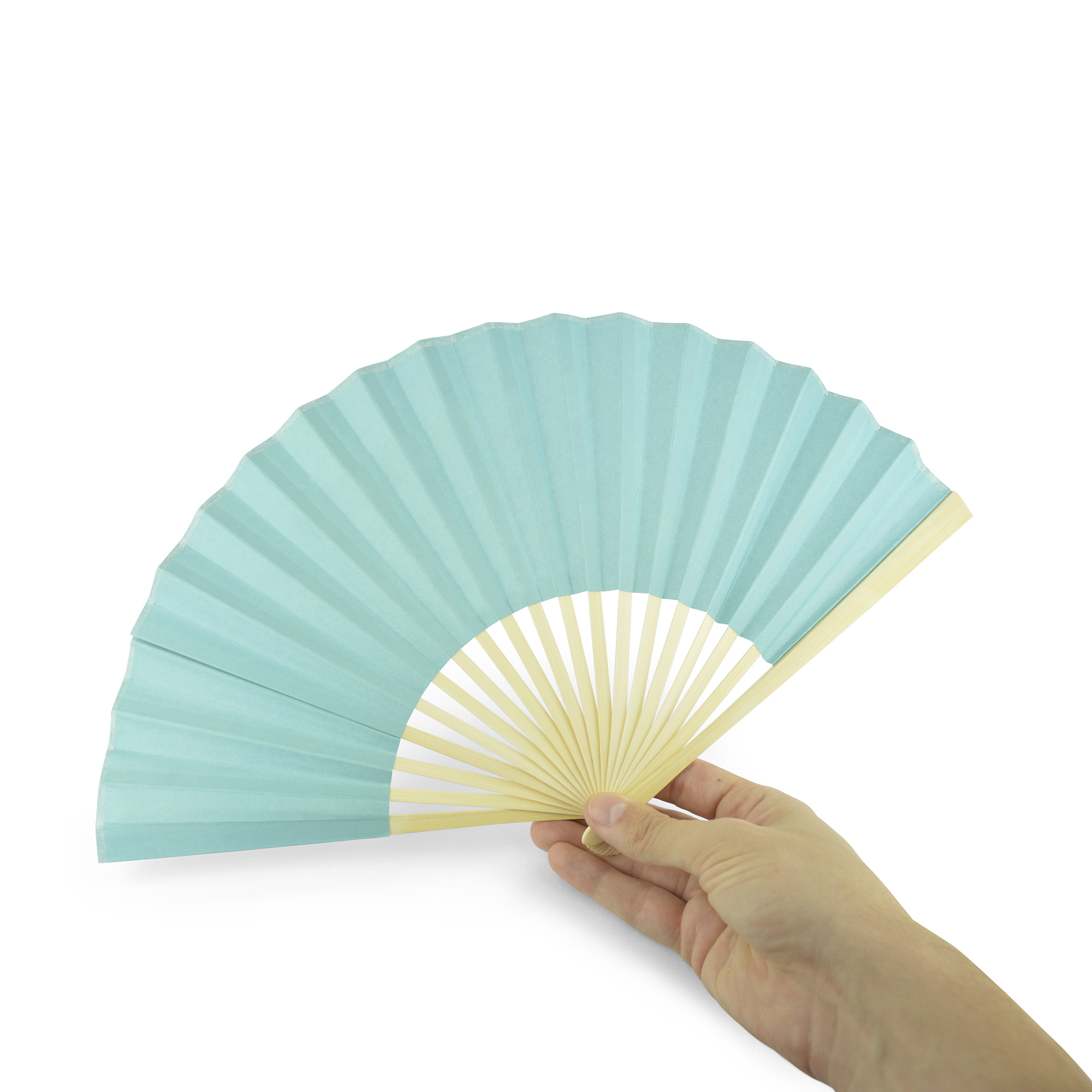 Picture of Bamboo Fan