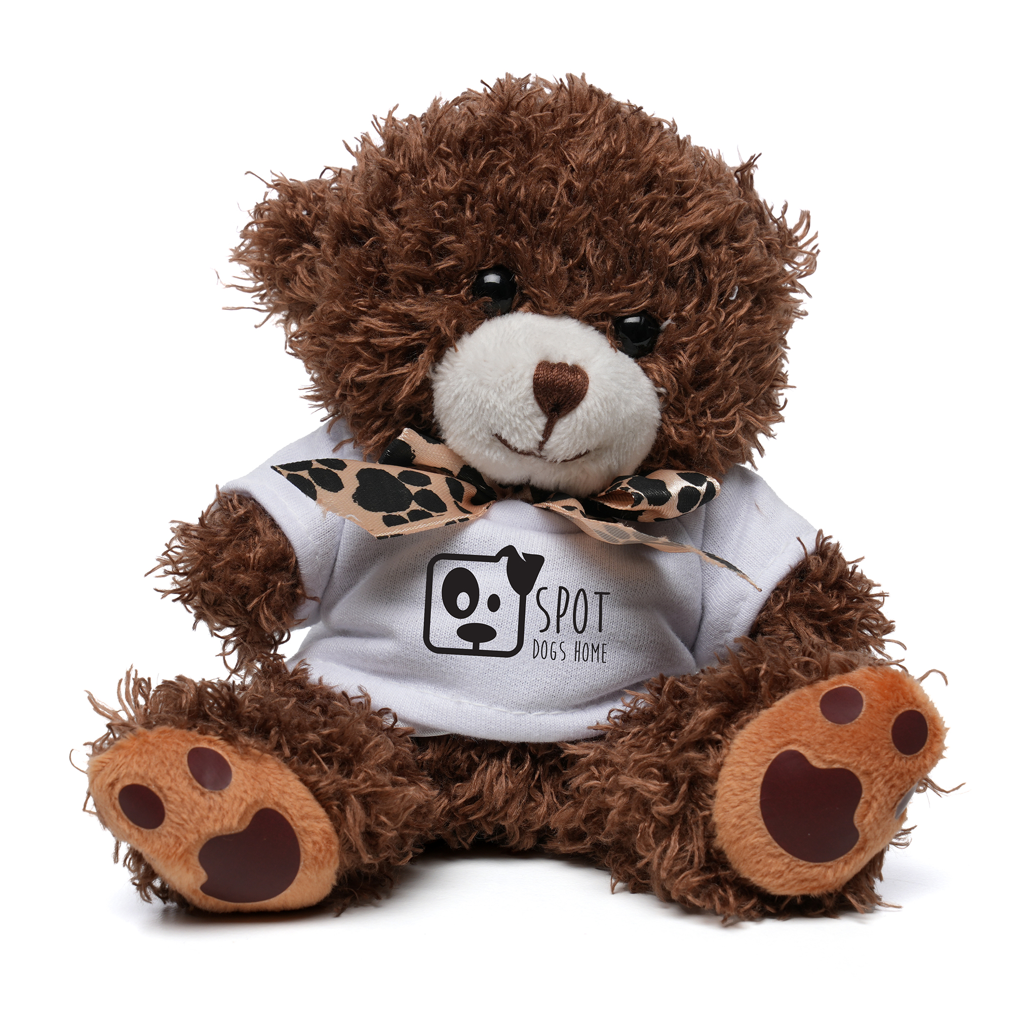 Small Paw Teddy
