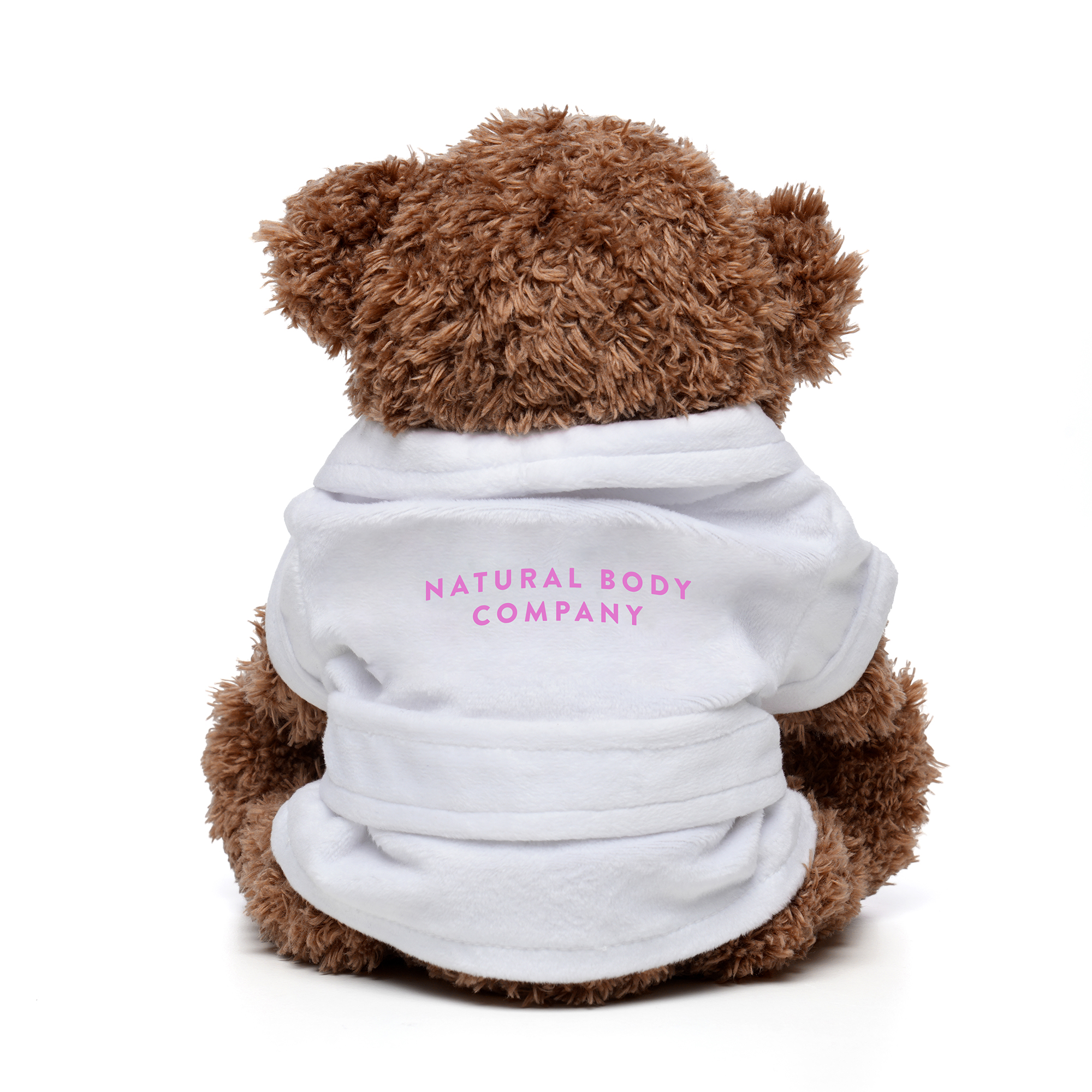 Picture of Medium Paw Teddy