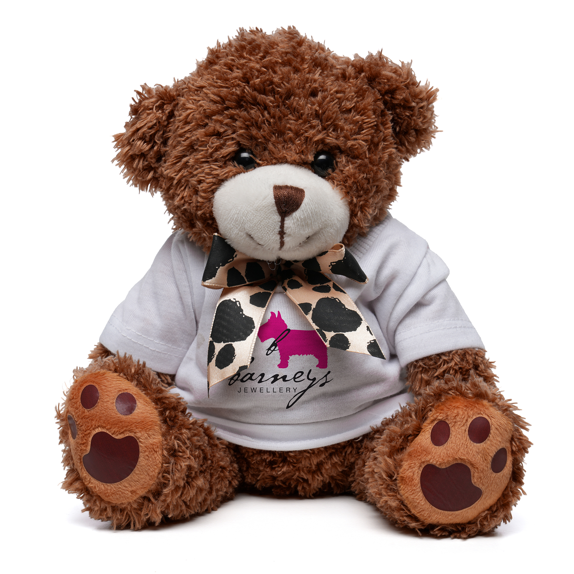 Picture of Medium Paw Teddy