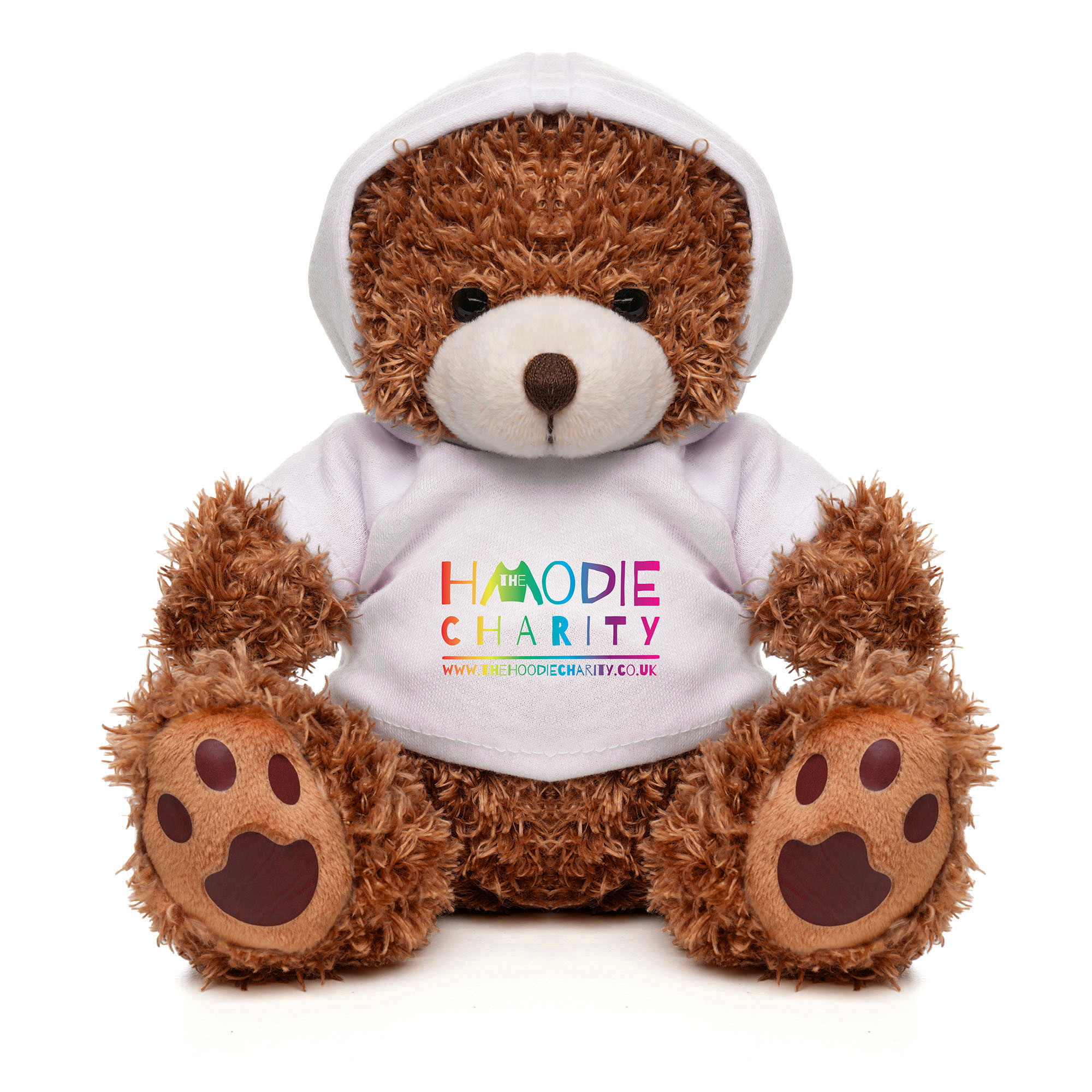 Picture of Medium Paw Teddy