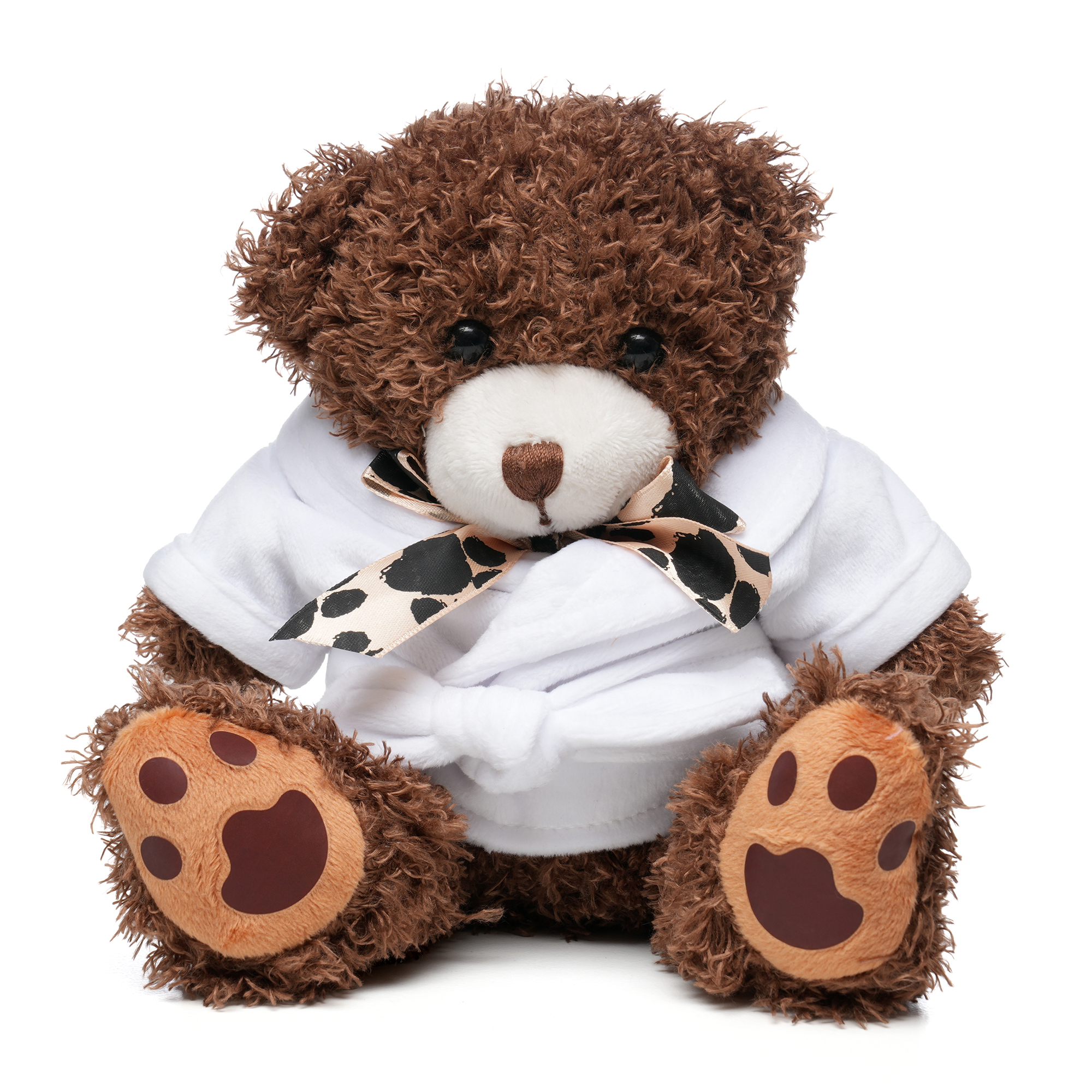 Picture of Medium Paw Teddy