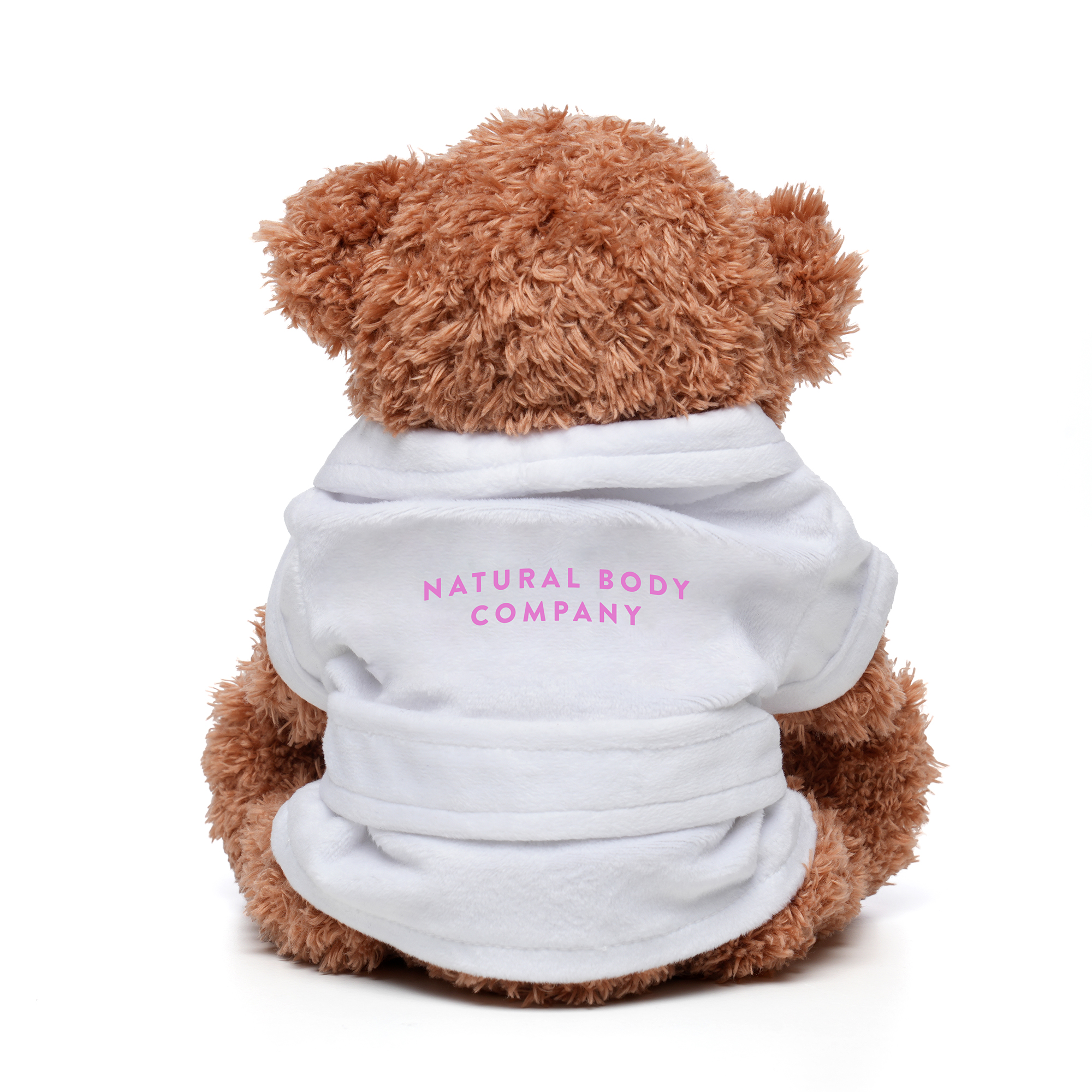 Picture of Medium Paw Teddy