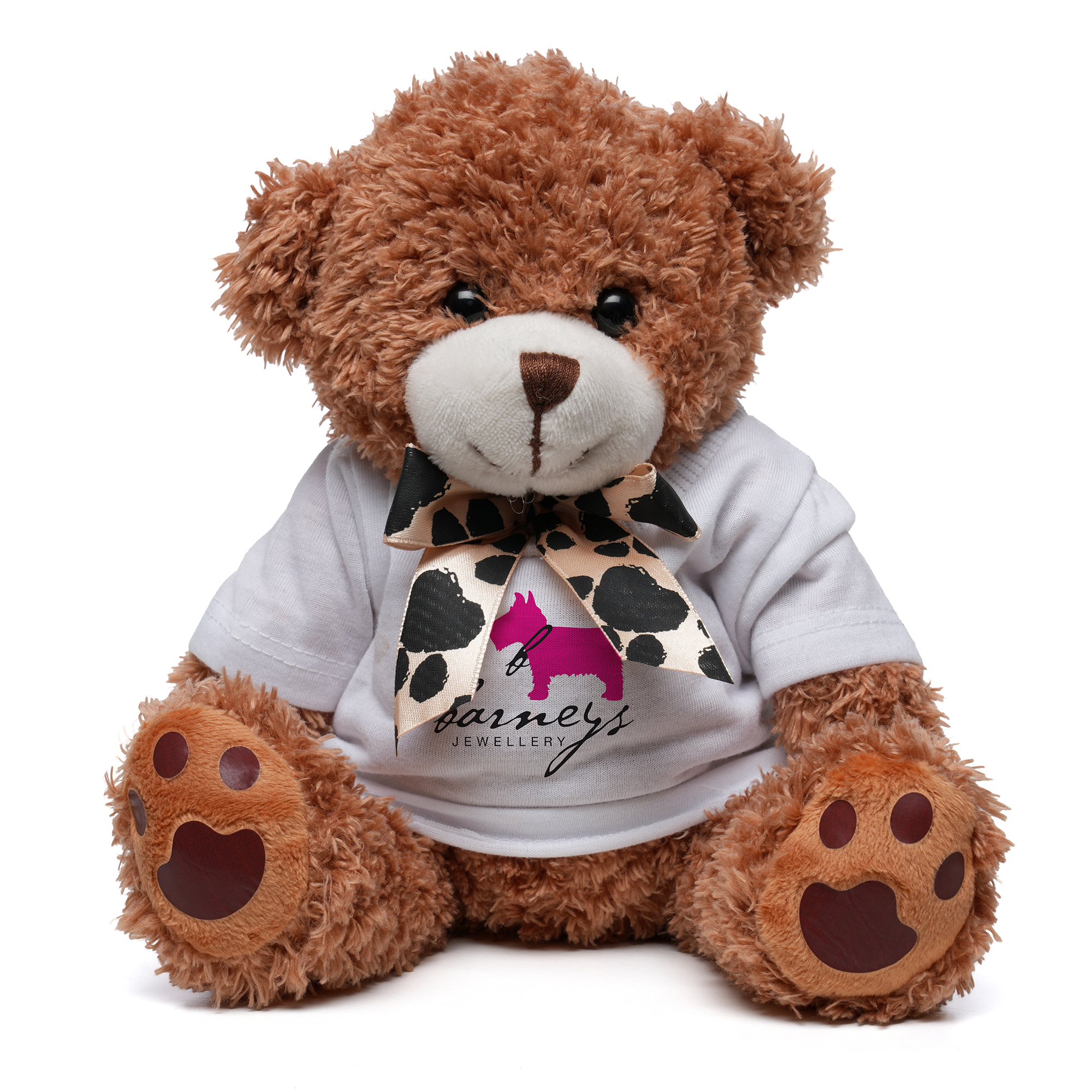 Picture of Medium Paw Teddy