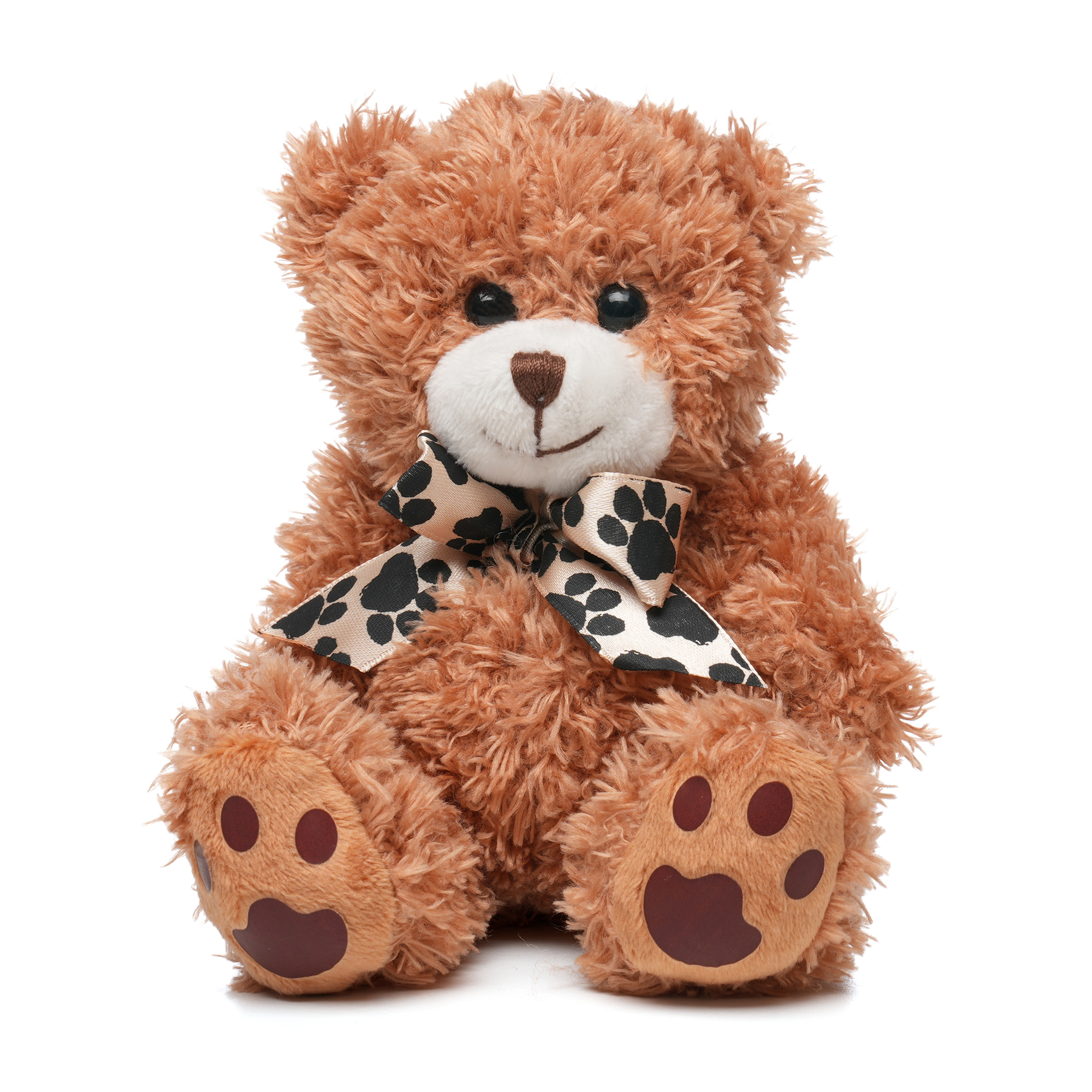 Picture of Medium Paw Teddy