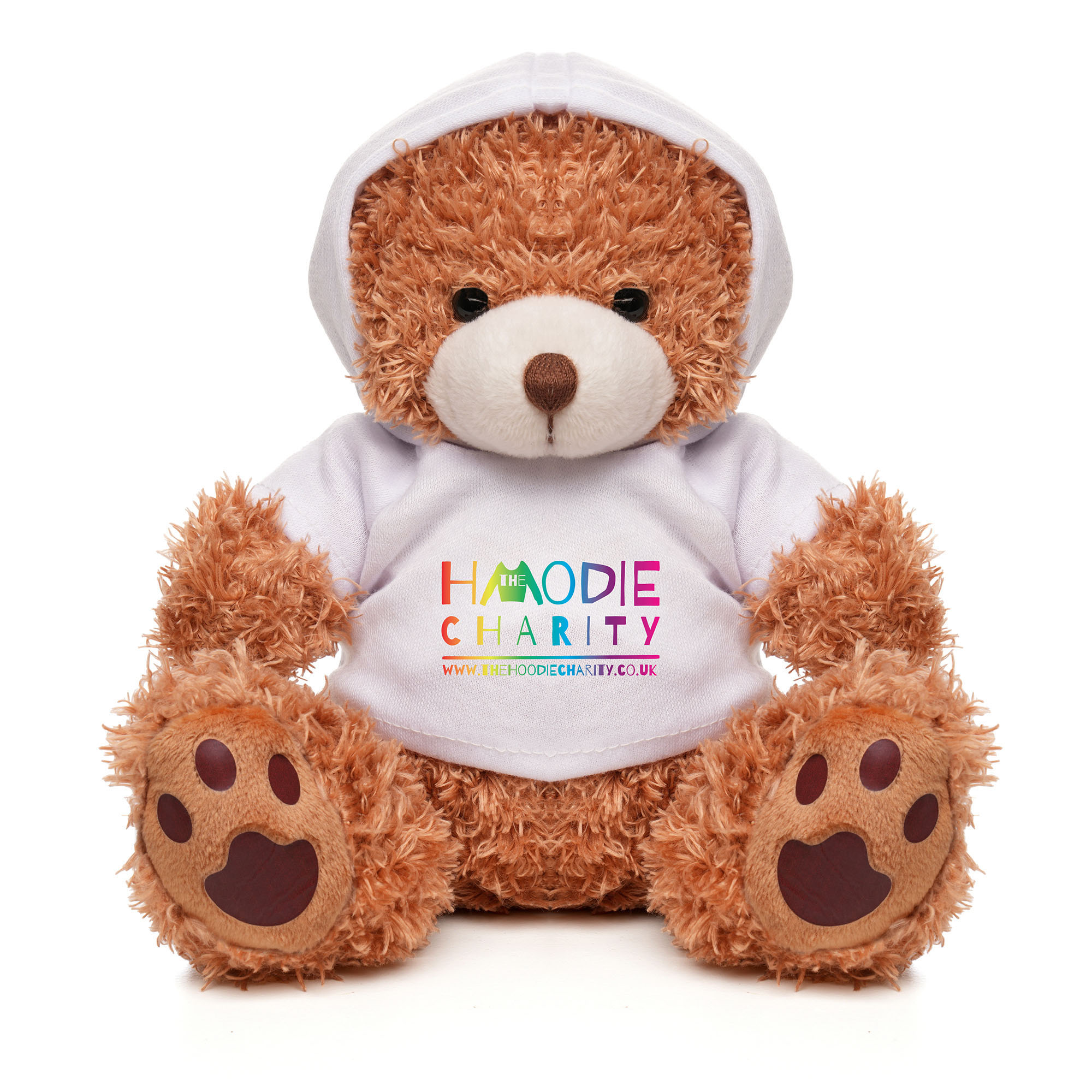 Picture of Medium Paw Teddy