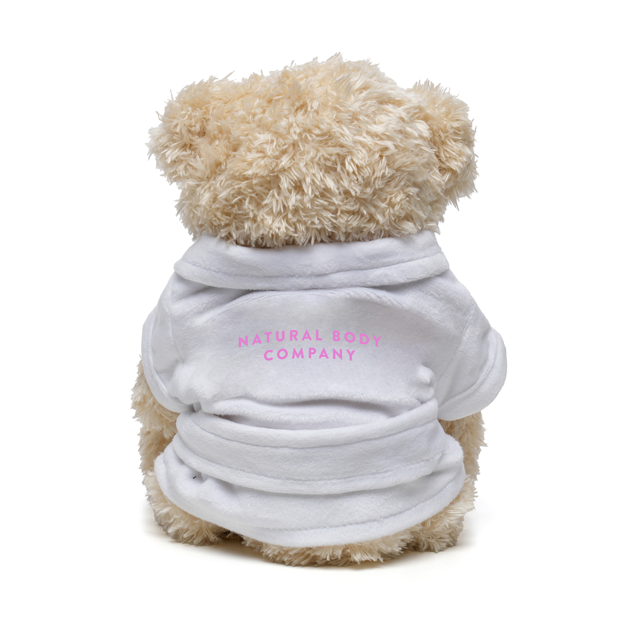 Picture of Medium Paw Teddy