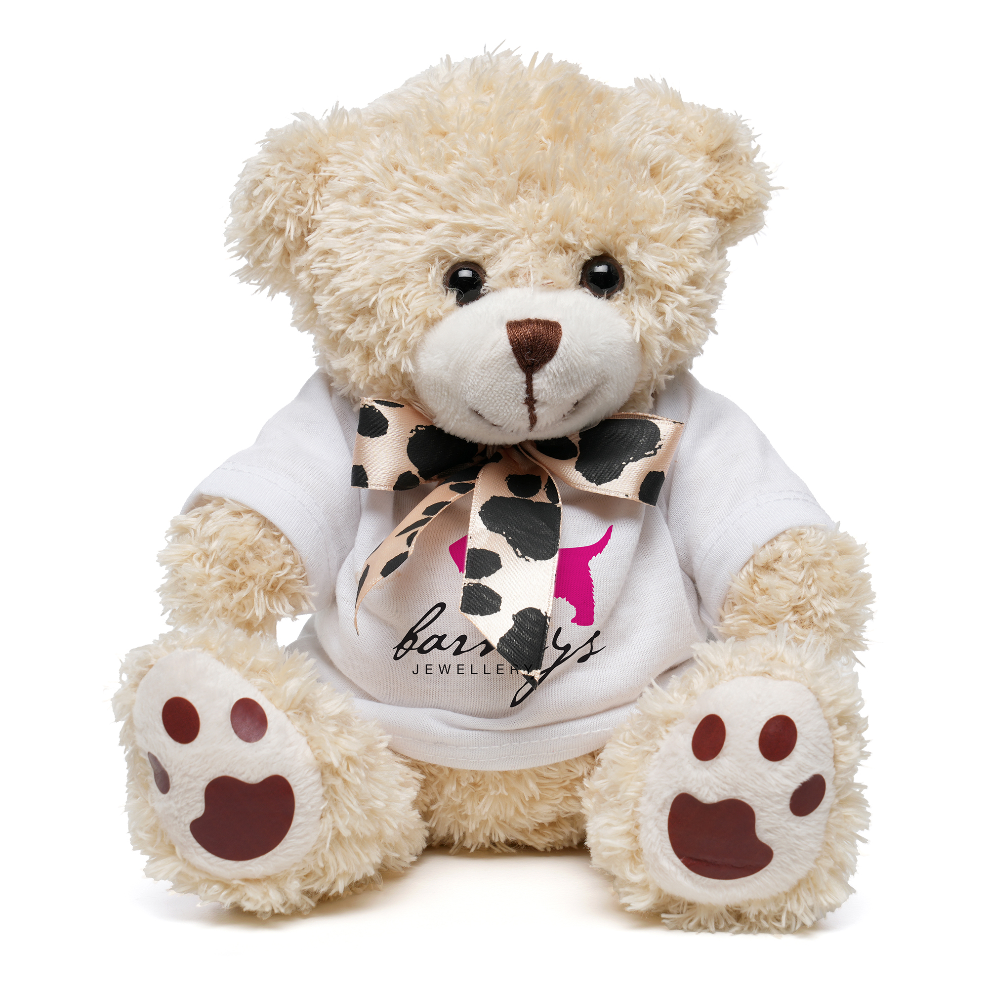 Picture of Medium Paw Teddy