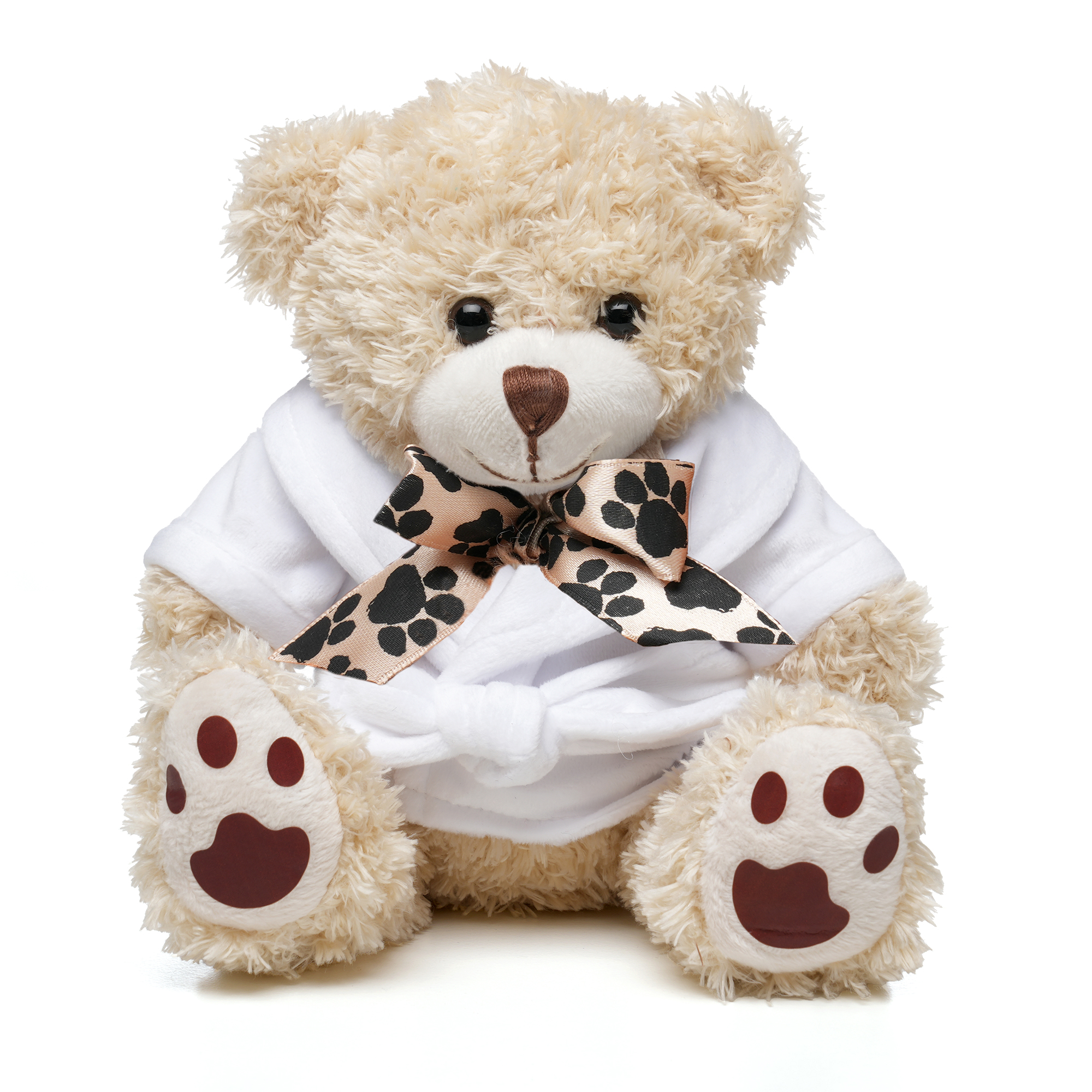 Picture of Medium Paw Teddy
