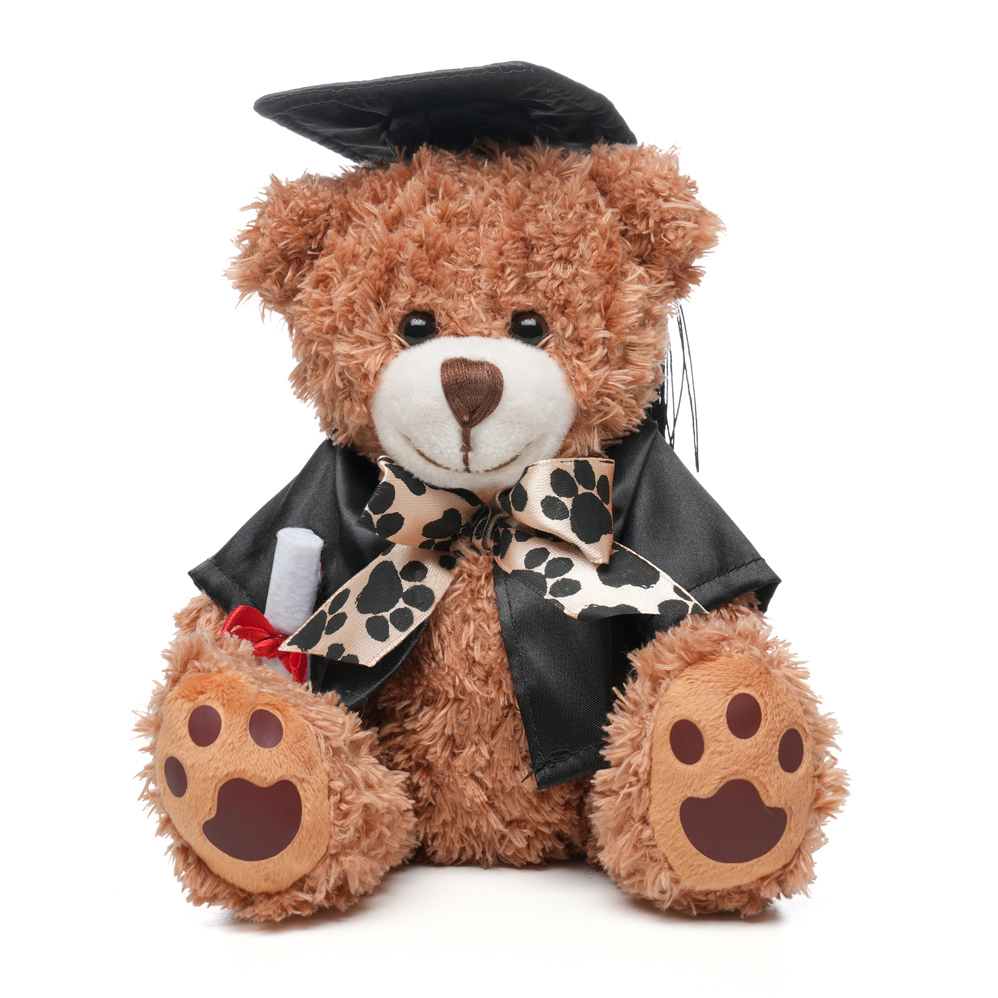Picture of Graduation Style Medium Patched Paw Teddy
