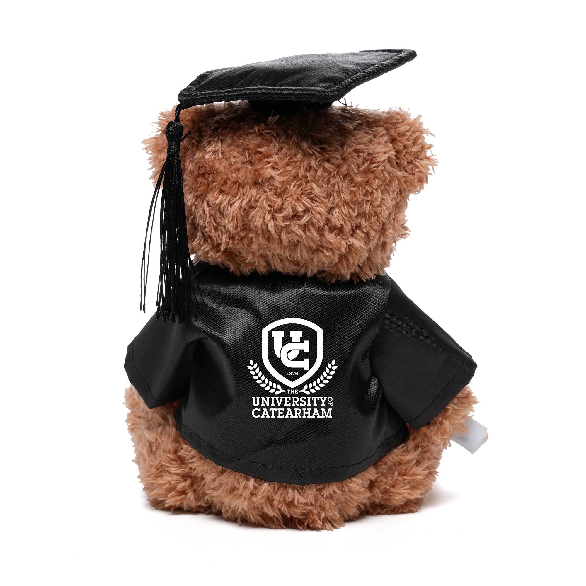 Picture of Graduation Style Medium Patched Paw Teddy