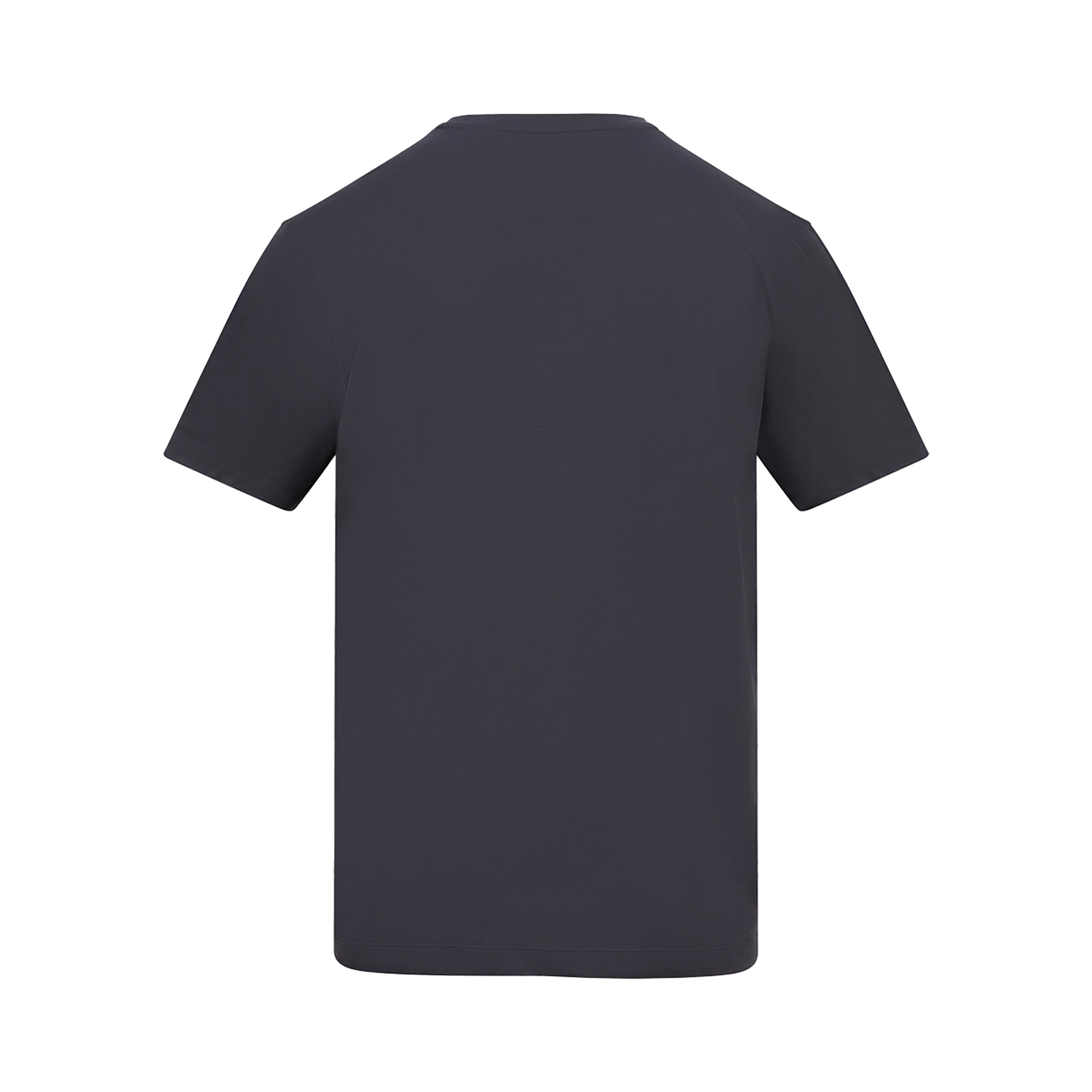 Picture of AWDis 150 T